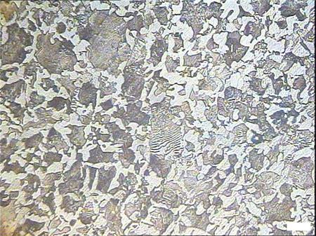 金相分析標準大全