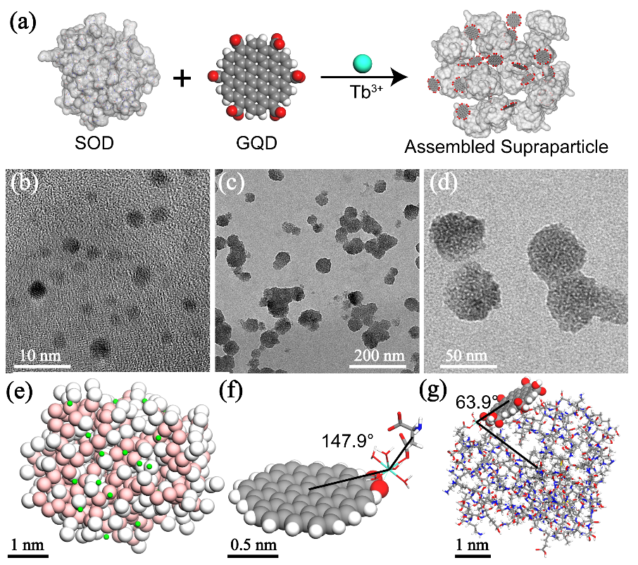 北測圖南研究院在功能性材料研制及疾病診斷領(lǐng)域取得重要進展