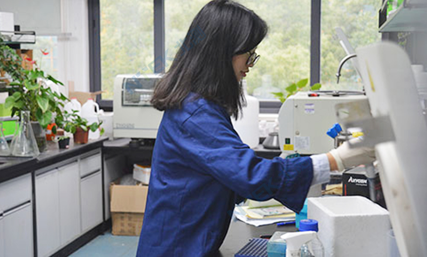 材料分析實驗室