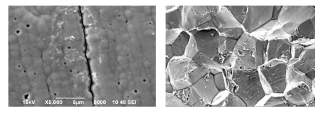 材料斷口微觀特征形態(tài)及成分